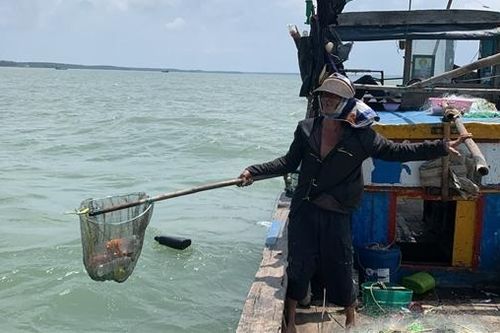 Khi 'tử thần' đến từ… biển!
