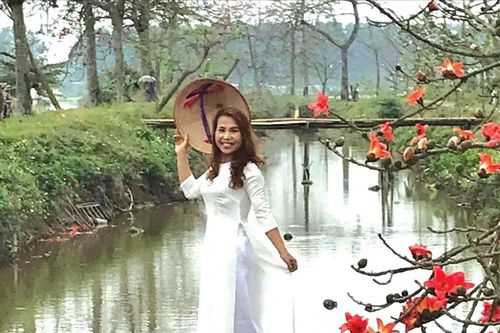 Tháng Ba, rực rỡ mùa hoa gạo
