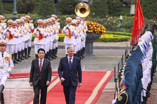 Lễ đón trọng thể Nhà vua Vương quốc Bỉ Philippe và Hoàng hậu thăm cấp Nhà nước