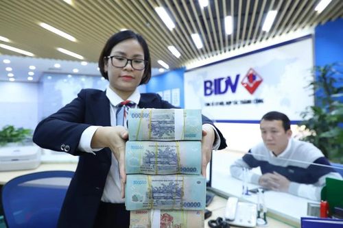 Ngân hàng lớn nhất Việt Nam họp cổ đông tuần này