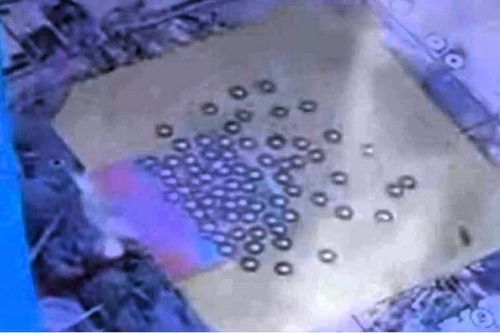 Dấu hiệu sinh tồn của hàng chục người dưới cao ốc bị sập ở Thái Lan