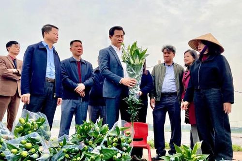 Hà Nội: gia tăng giá trị trồng trọt, hướng đến tăng trưởng nông nghiệp 3,5%