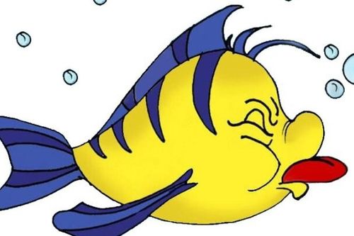 Góc nhìn 365: Để có một ngày 'câu cá' nhẹ nhàng