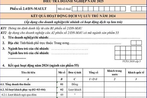 ĐIỀU TRA DOANH NGHIỆP 2025: Hướng dẫn cách ghi Phiếu số 2.4/DN-MAULT