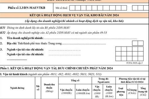 ĐIỀU TRA DOANH NGHIỆP 2025: Hướng dẫn cách ghi Phiếu số 2.3/DN-MAUVTKB
