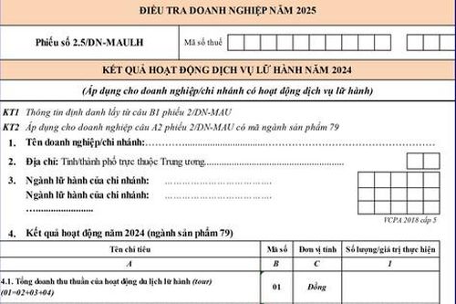 ĐIỀU TRA DOANH NGHIỆP 2025: Hướng dẫn cách ghi Phiếu số 2.5/DN-MAULH