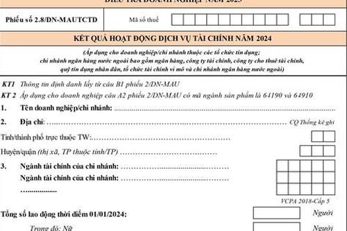 ĐIỀU TRA DOANH NGHIỆP 2025: Hướng dẫn cách ghi Phiếu số 2.8/DN-MAUTCTD