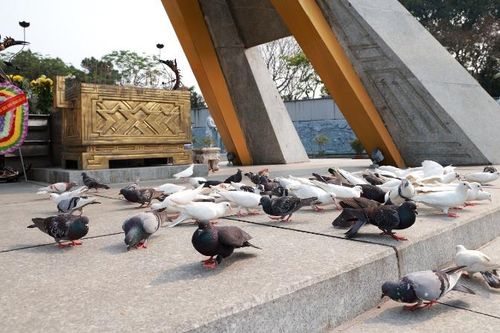 Tháng Tư về nguồn