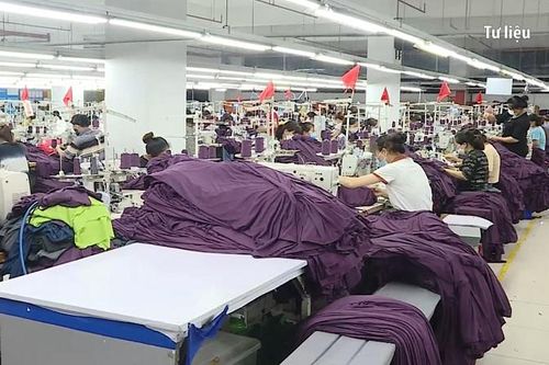 Tham gia vào 'cuộc đua' chuyển đổi xanh: Các doanh nghiệp cần lưu ý gì?