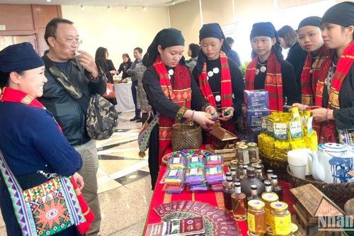 Mùa du lịch Thái Nguyên năm 2025 với chủ đề 'Trải nghiệm xứ Trà đậm đà bản sắc'