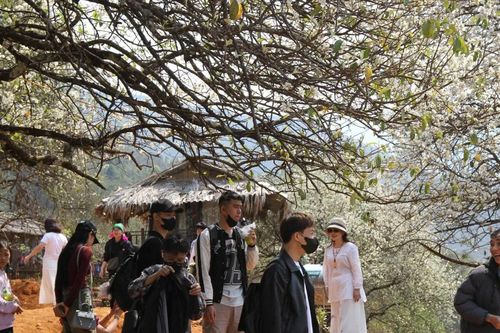 Mùa hoa về - Cơ hội vàng cho du lịch