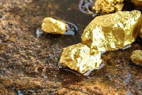 Cực nóng: Việt Nam phát hiện 40 mỏ vàng khủng, trữ lượng gần 30 tấn