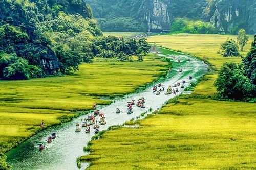 Ninh Bình dự kiến tổ chức Tuần lễ 'Sắc vàng Tam Cốc-Tràng An' năm 2025 trong 7 ngày