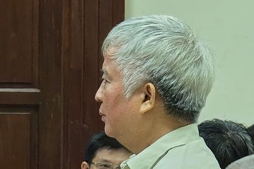 Tổng giám đốc gây án trong thời gian được tại ngoại