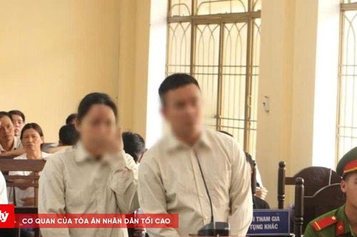 Giả chữ ký của chủ đất, lừa đảo chiếm đoạt hơn 94 tỉ đồng