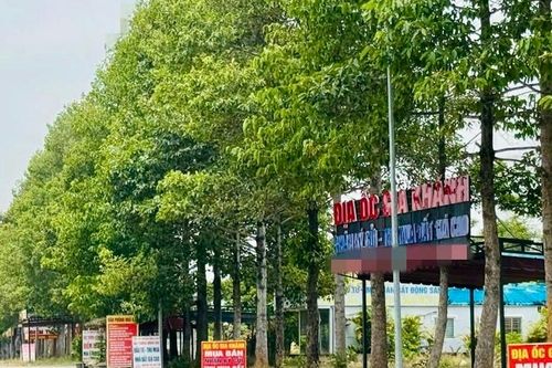 Môi giới bịa tin sáp nhập để 'bơm thổi' giá đất khu vực lân cận TPHCM