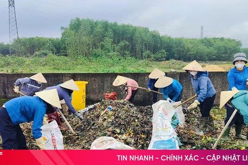 Biến rác thải thành hàng trăm tấn phân bón hữu cơ