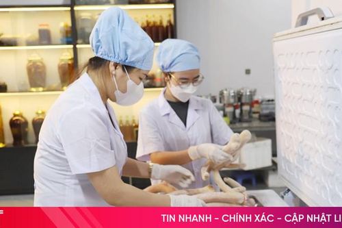 Nữ giám đốc thành công với bí quyết sản xuất cao xương hươu đạt chuẩn OCOP 3 sao