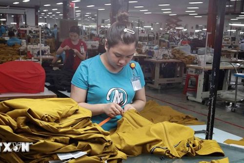 Kết nối nhiều cơ hội hợp tác mới giữa doanh nghiệp Việt Nam và Bỉ