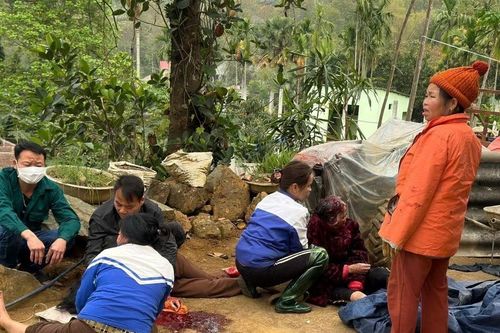 Hòa Bình: Đã bắt được đối tượng thần kinh dùng gậy sắt sát hại 3 người