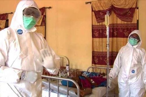 Dịch sốt Lassa khiến hàng trăm người tử vong ở Nigeria