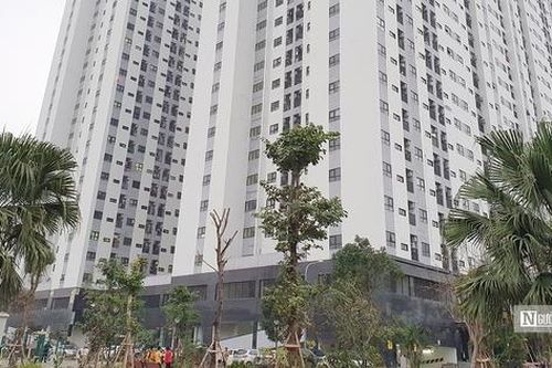 Hải Phòng dành 350 tỷ đồng vốn vay ưu đãi mua nhà ở xã hội năm 2025