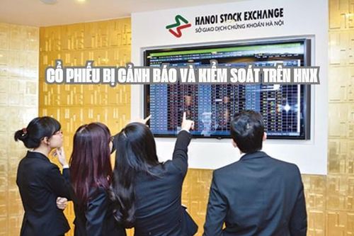 HNX duy trì diện cảnh báo với cổ phiếu PPE và PEN