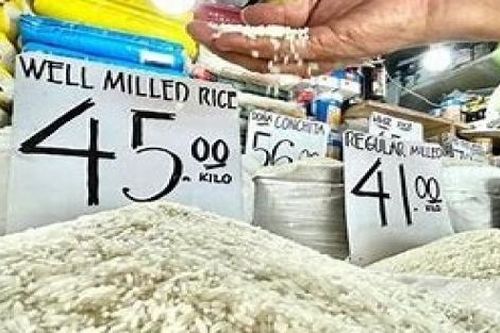Khủng hoảng gạo ở Nhật Bản: Việt Nam học được gì?