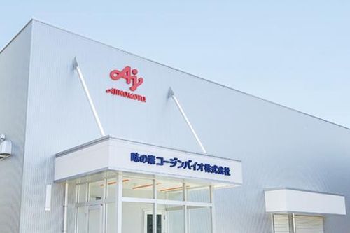 Tập đoàn 'bột ngọt' Ajinomoto đầu tư 165 triệu USD vào sản xuất vật liệu chip