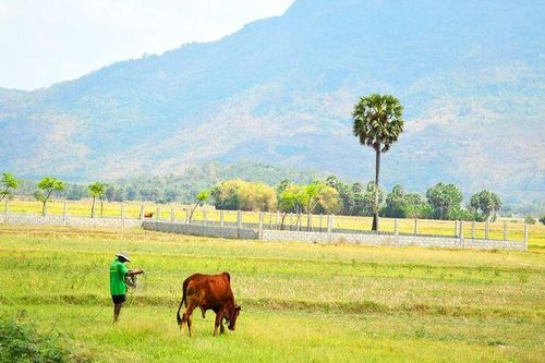 Bảy Núi mùa vắng cơn mưa