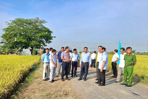 Phó Chủ tịch UBND tỉnh An Giang Ngô Công Thức kiểm tra công tác chuẩn bị ngày hội thu hoạch lúa tại huyện Châu Phú