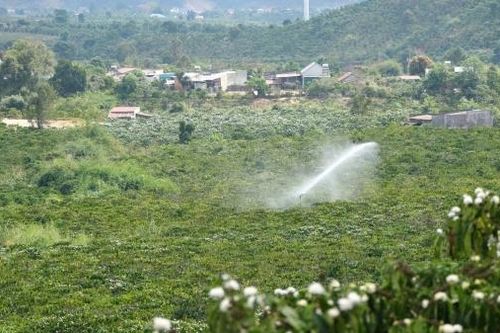 Lâm Hà chủ động phòng chống hạn cho cây trồng mùa khô