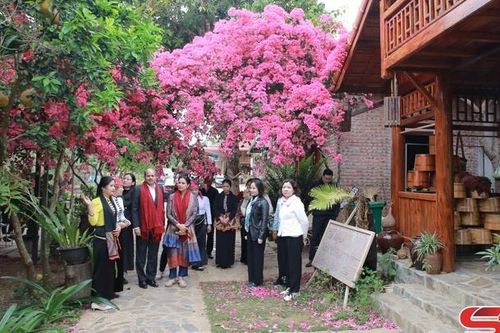 Đại sứ đặc mệnh toàn quyền Cộng hòa Ấn Độ tại Việt Nam thăm các điểm du lịch ở Mộc Châu