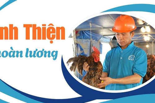 Anh Thiện hoàn lương