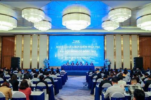 Những 'điểm nóng' tại đại hội đồng cổ đông ngân hàng