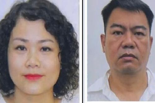 Truy tìm cặp vợ chồng liên quan đến vụ vi phạm quy định về khai thác tài nguyên tại Yên Bái