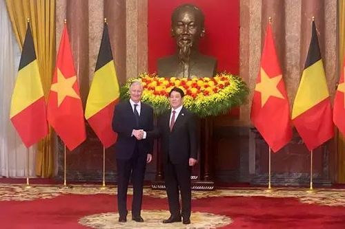 Lễ đón Nhà vua và Hoàng hậu Bỉ thăm Việt Nam