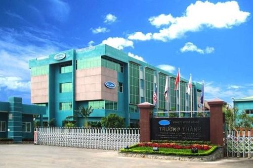 Lo ngại tác động từ chính sách thuế Mỹ, Gỗ Trường Thành (TTF) lùi Đại hội đồng cổ đông năm 2025