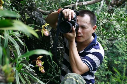 12 năm lang thang trong rừng, viết sách về loài lan quý sắp tuyệt chủng