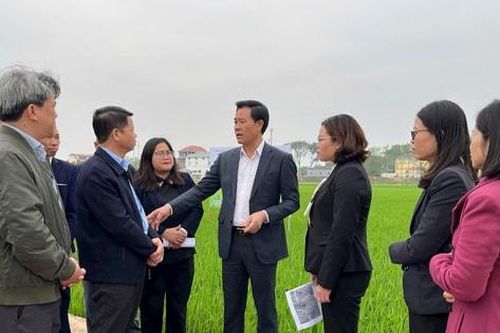Kiểm tra sản xuất vụ xuân ở Mê Linh