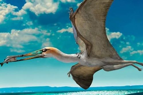 Phát hiện loài khủng long bay mới trông như quái vật