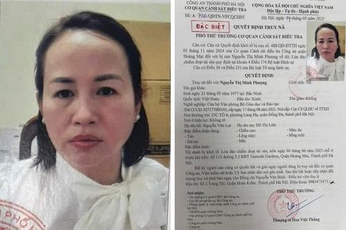 Mất tiền tỷ vì bị lừa xin học bổng của chính phủ