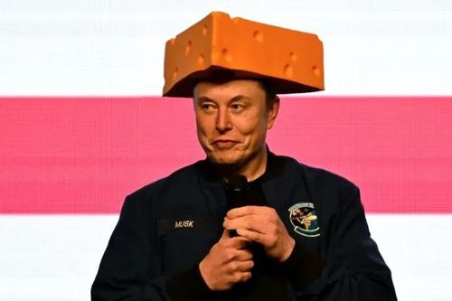 Elon Musk bị chọc tức