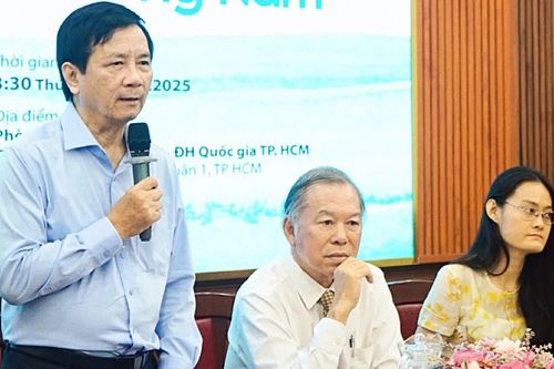 Một phác thảo về dòng chảy văn chương Nam bộ