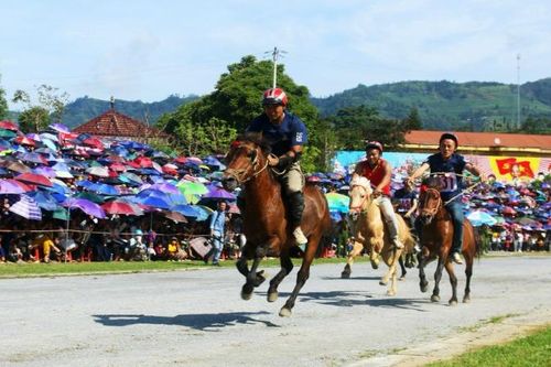 Nghiêng say vó ngựa cao nguyên Bắc Hà 2025