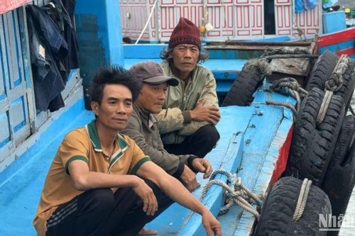 Đưa 3 ngư dân Quảng Ngãi bị chìm tàu cá khi hành nghề trên biển vào bờ an toàn