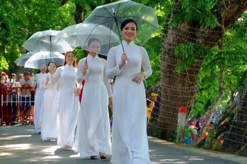 Lễ hội Mùa hoa sưa Tam Kỳ năm 2025 diễn ra từ ngày 10 đến 13-4