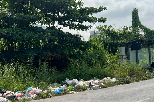 Xả rác bừa bãi ra môi trường: Nâng mức xử phạt để răn đe