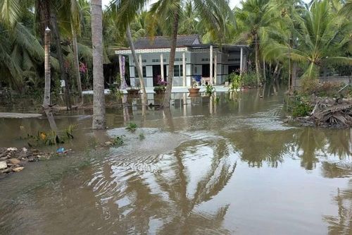 ĐBSCL: Triều cường dâng cao gây ngập đường, vỡ đê bao