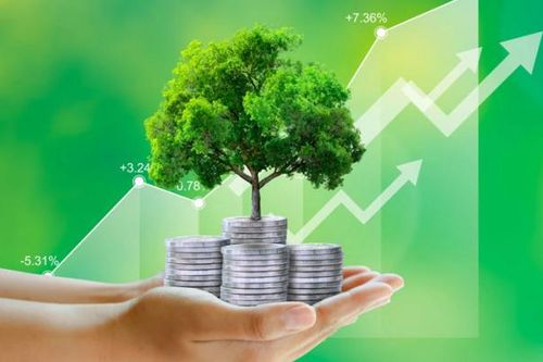 Cơ quan báo chí nỗ lực truyền thông về môi trường, hướng tới phát triển kinh tế xanh